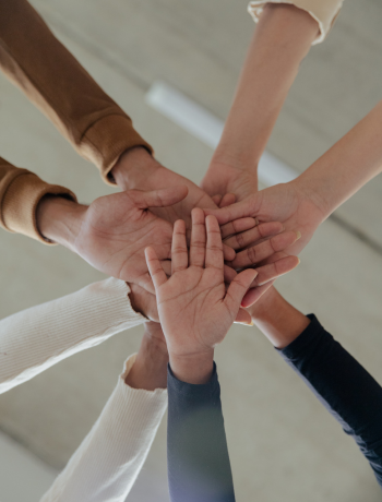 Meet Netcraft: Your Partner for Smarter Digital Growth